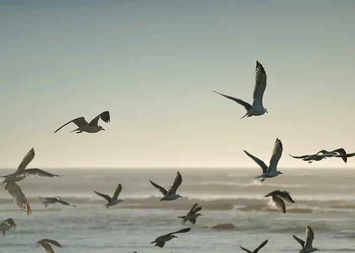 Apartmán Sonho Eterno